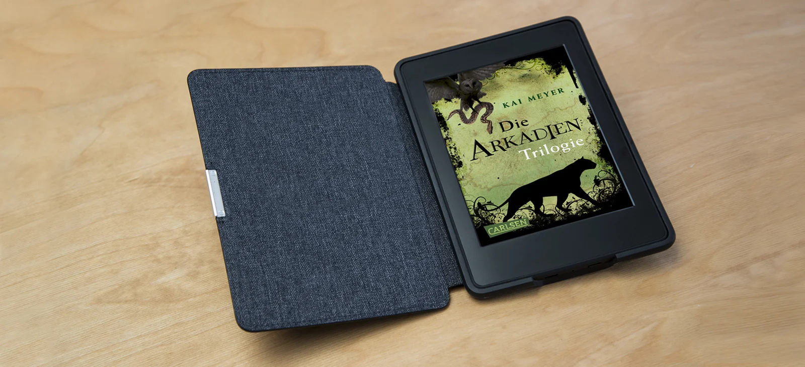 E-Book Cover
