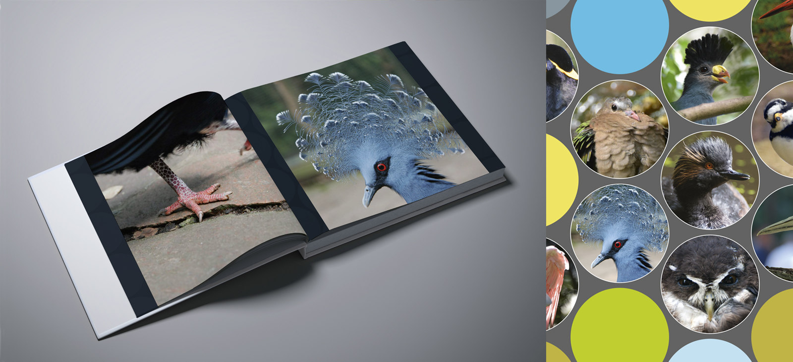 Doppelseite Fotobuch