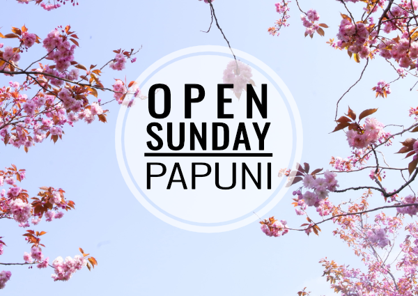 Open Sundays Frühling.png