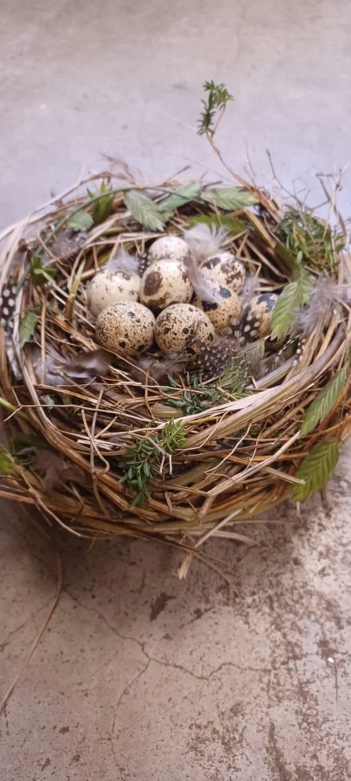 WhatsApp Image 2026-03-13 at 20.46.01.jpeg