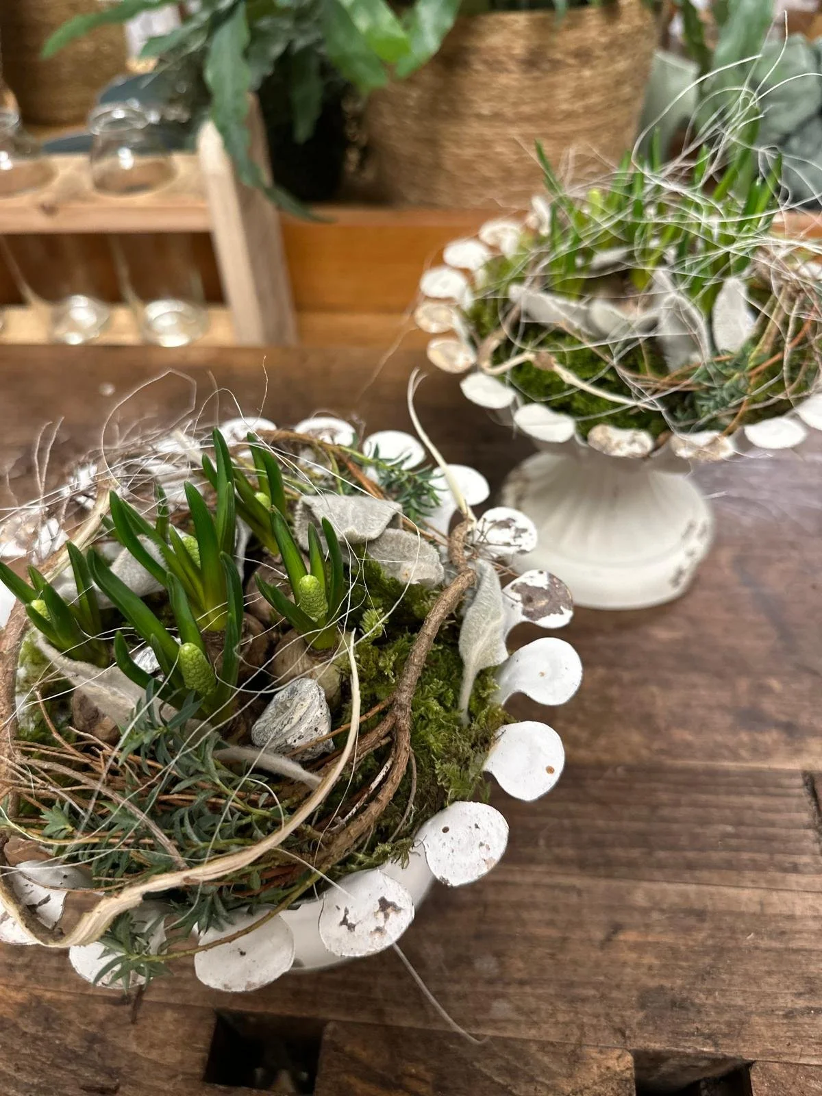 WhatsApp Image 2026-03-13 at 20.46.18.jpeg