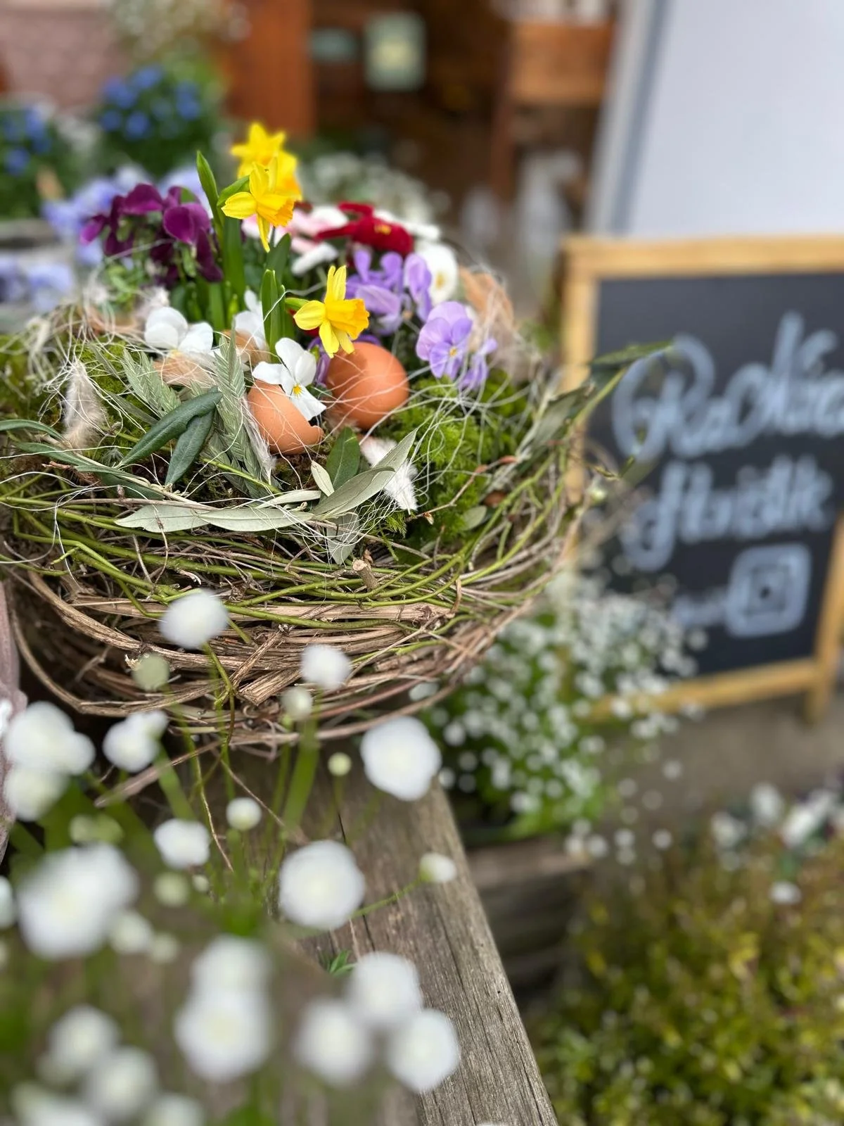 WhatsApp Image 2026-03-13 at 20.46.42.jpeg