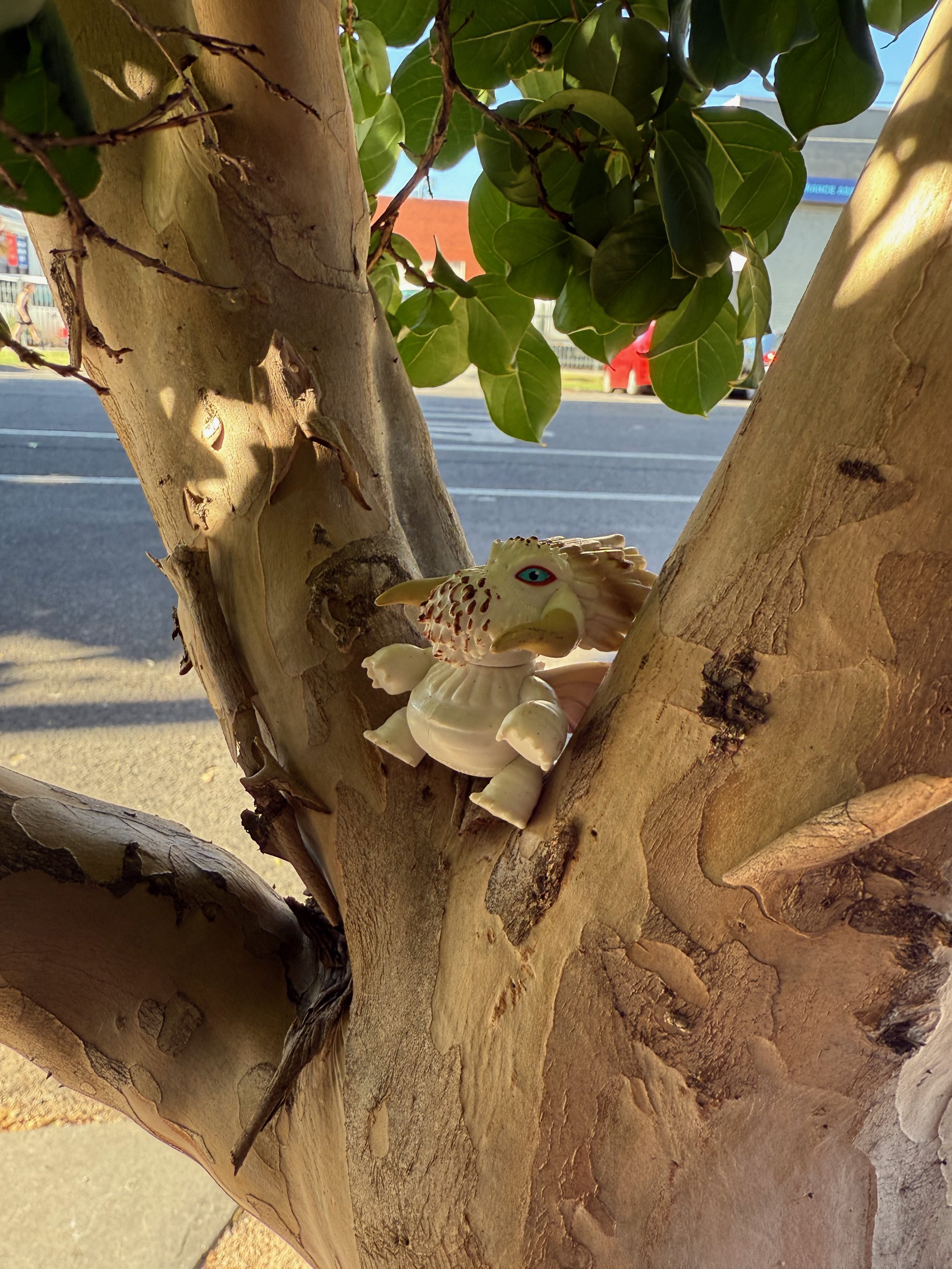 Adaptive acquisition strategy