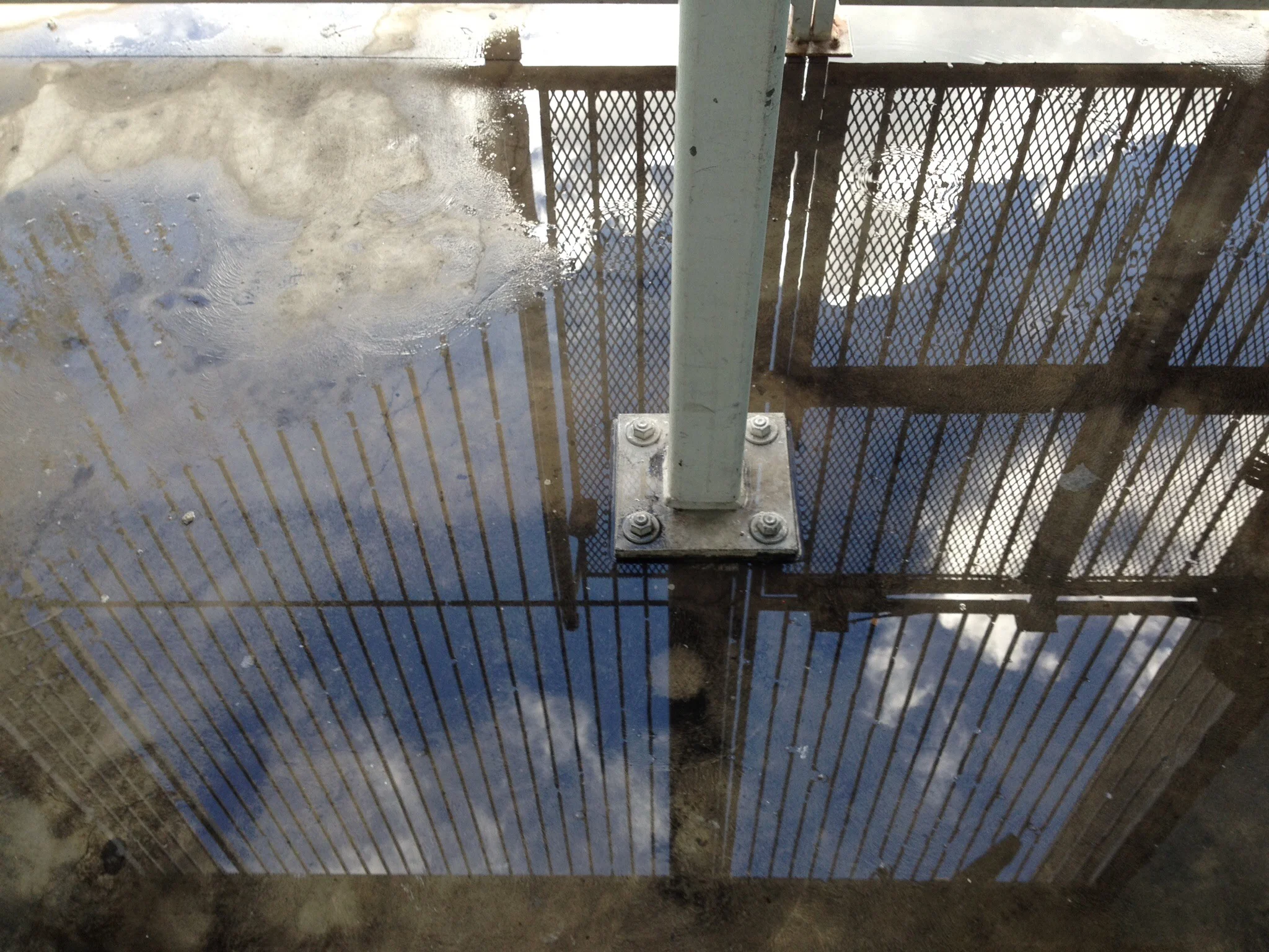 File Mar 12, 3 55 57 PM.jpeg