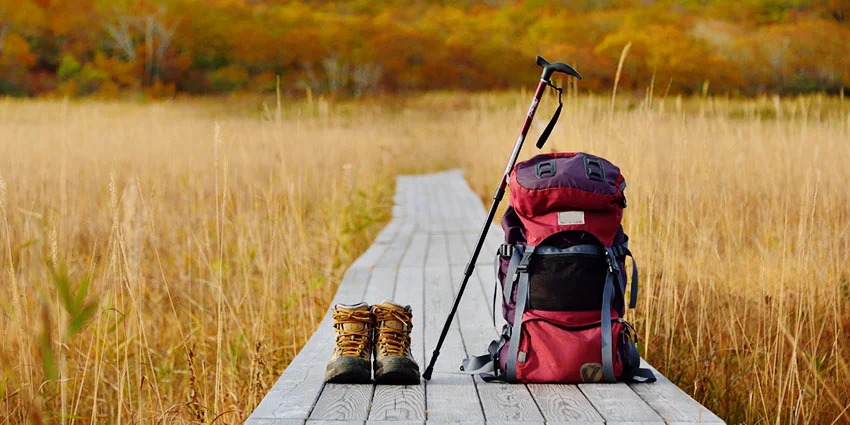 camino-santiago-preparacion-diltix.jpg