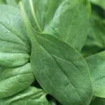 spinach-leaf-150x150.jpg