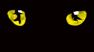 OBC: Cats Revival 