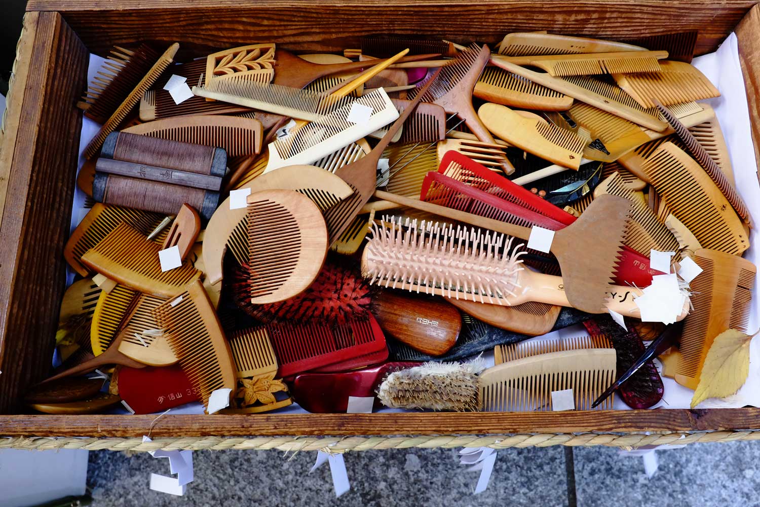 19.-DSCF1867-web.jpg