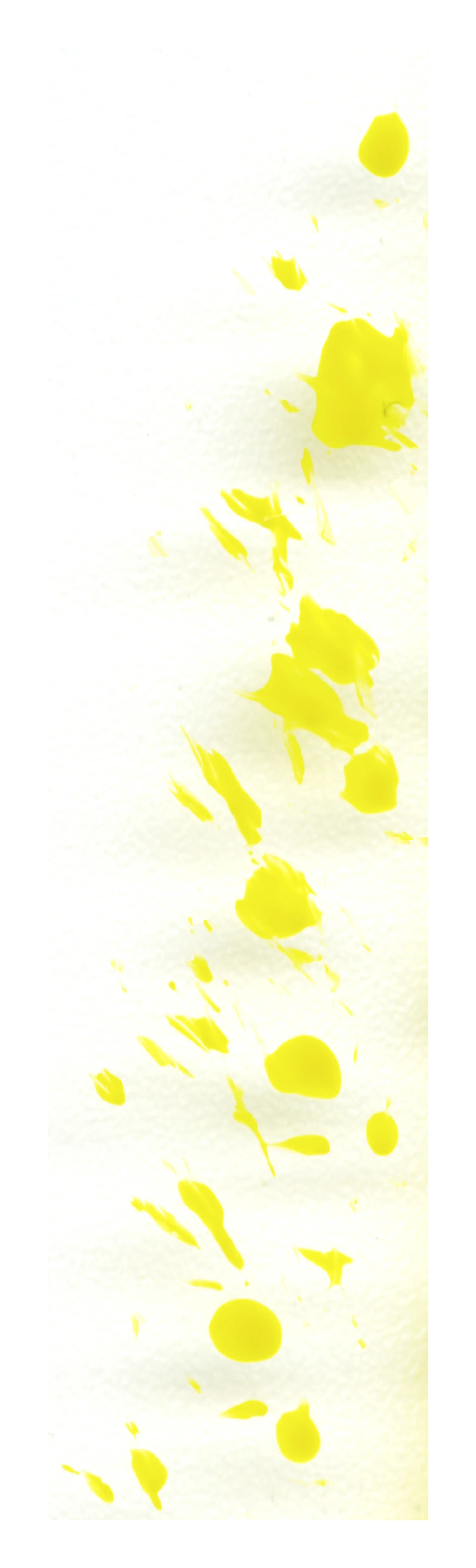Assortment: Yellow I