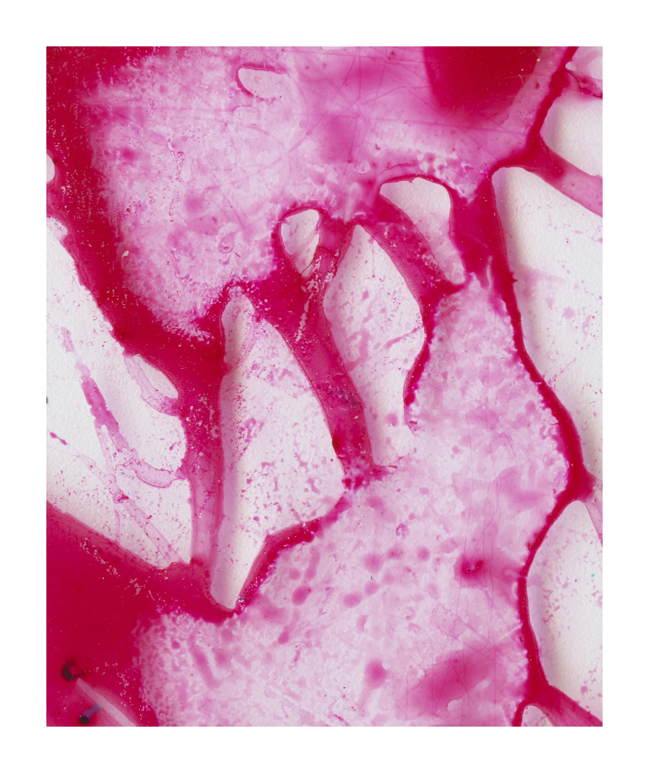 Assortment: Magenta I