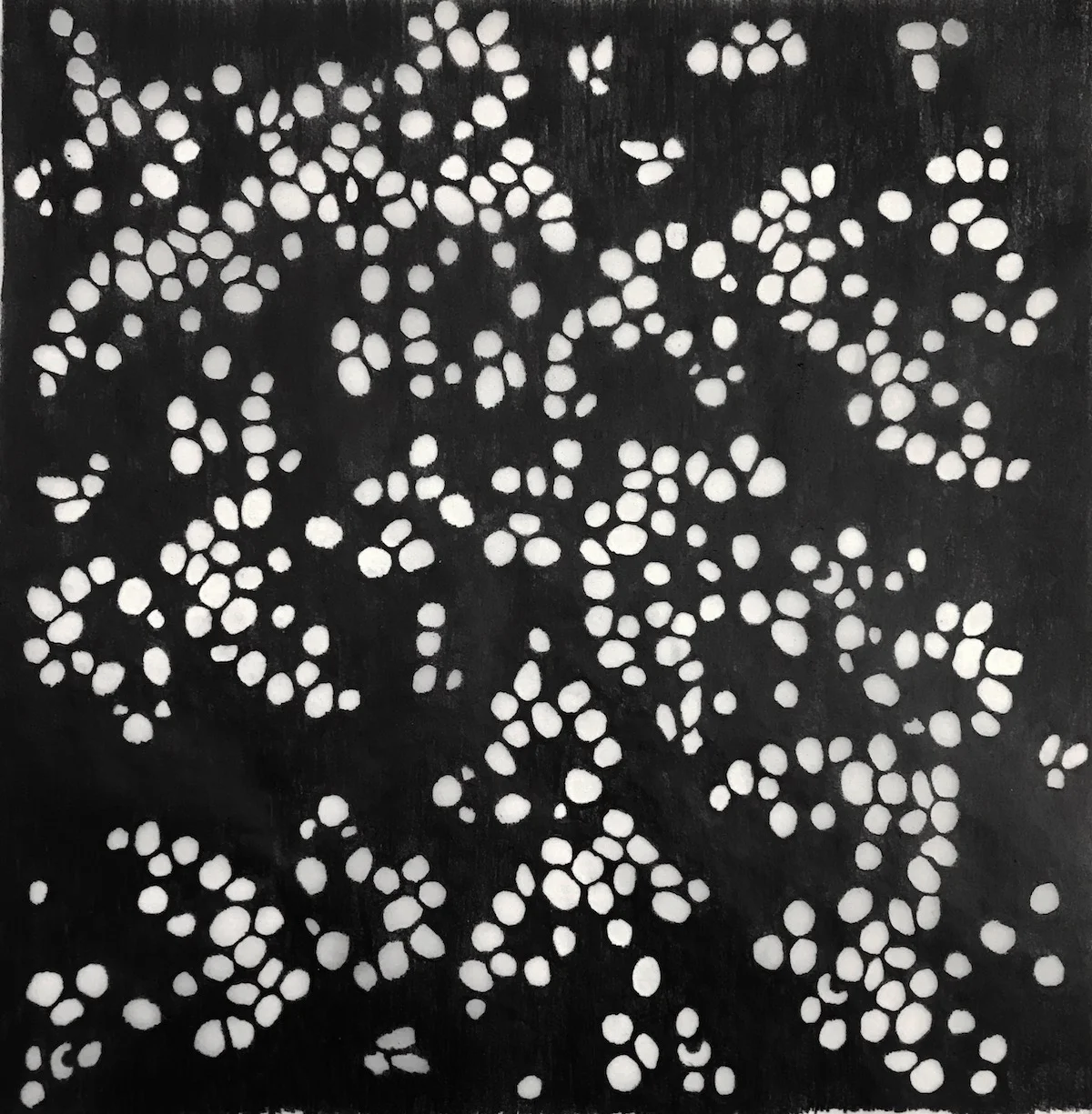 Untitled (Cellular Abstraction II)
