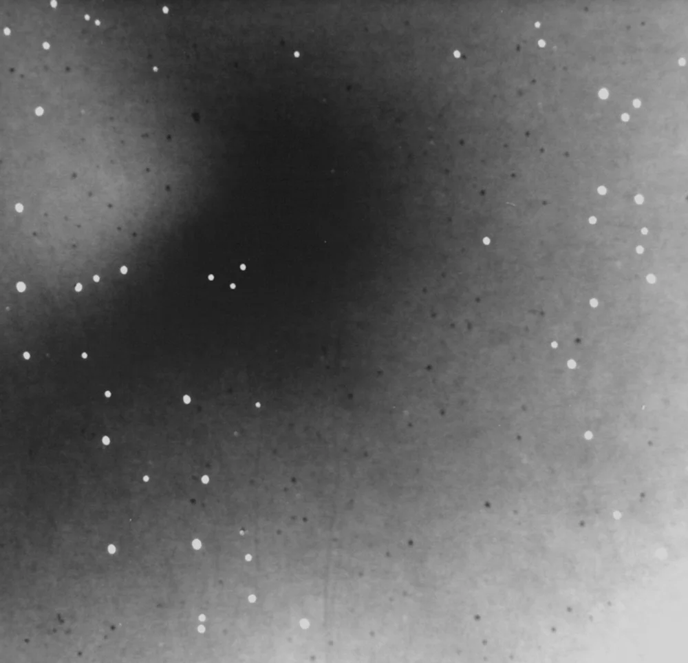 Anatomical Constellation IV