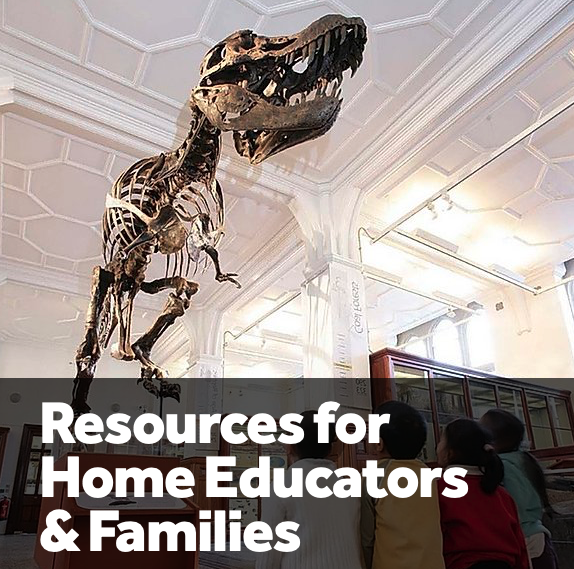 Manchester Museum Resources