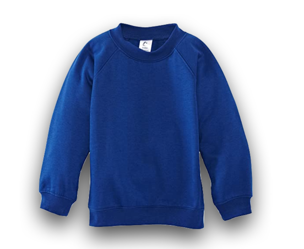 Royal blue jumper/sweatshirt