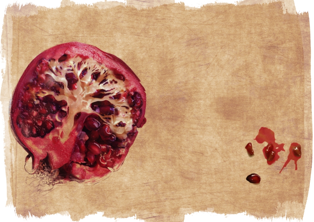 Tree of Seeds Image by Stedroy Cleghorne