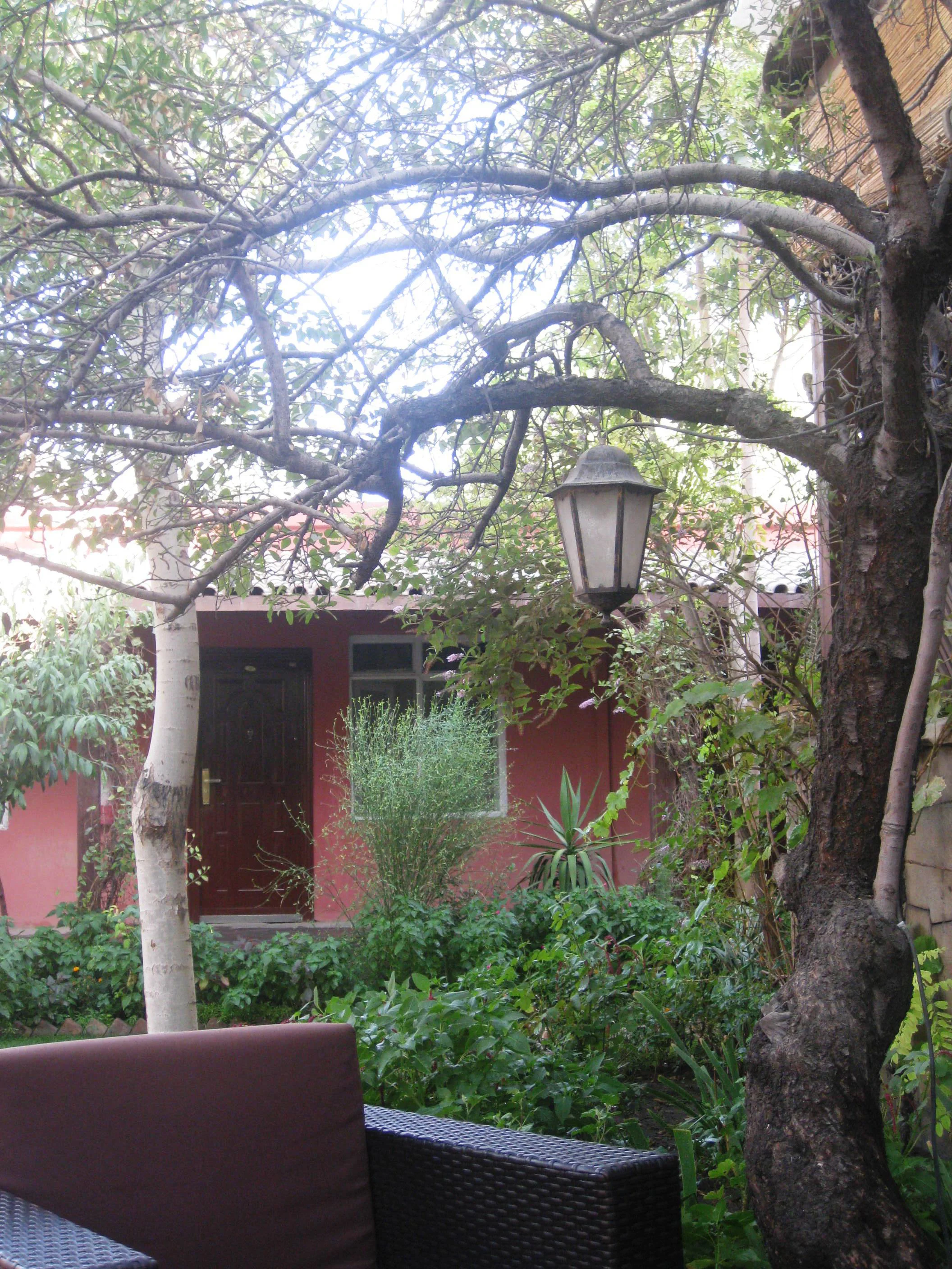 The garden in my guest house. Sometimes different can be just fine!