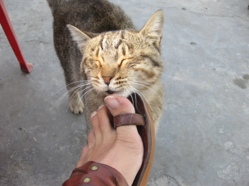 day2-12a.jpg