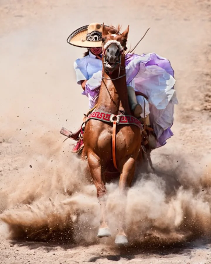 More here: https://pasionarriera.weebly.com/escaramuza.html