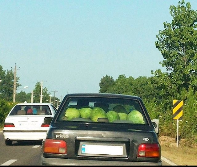 Melon02.jpeg