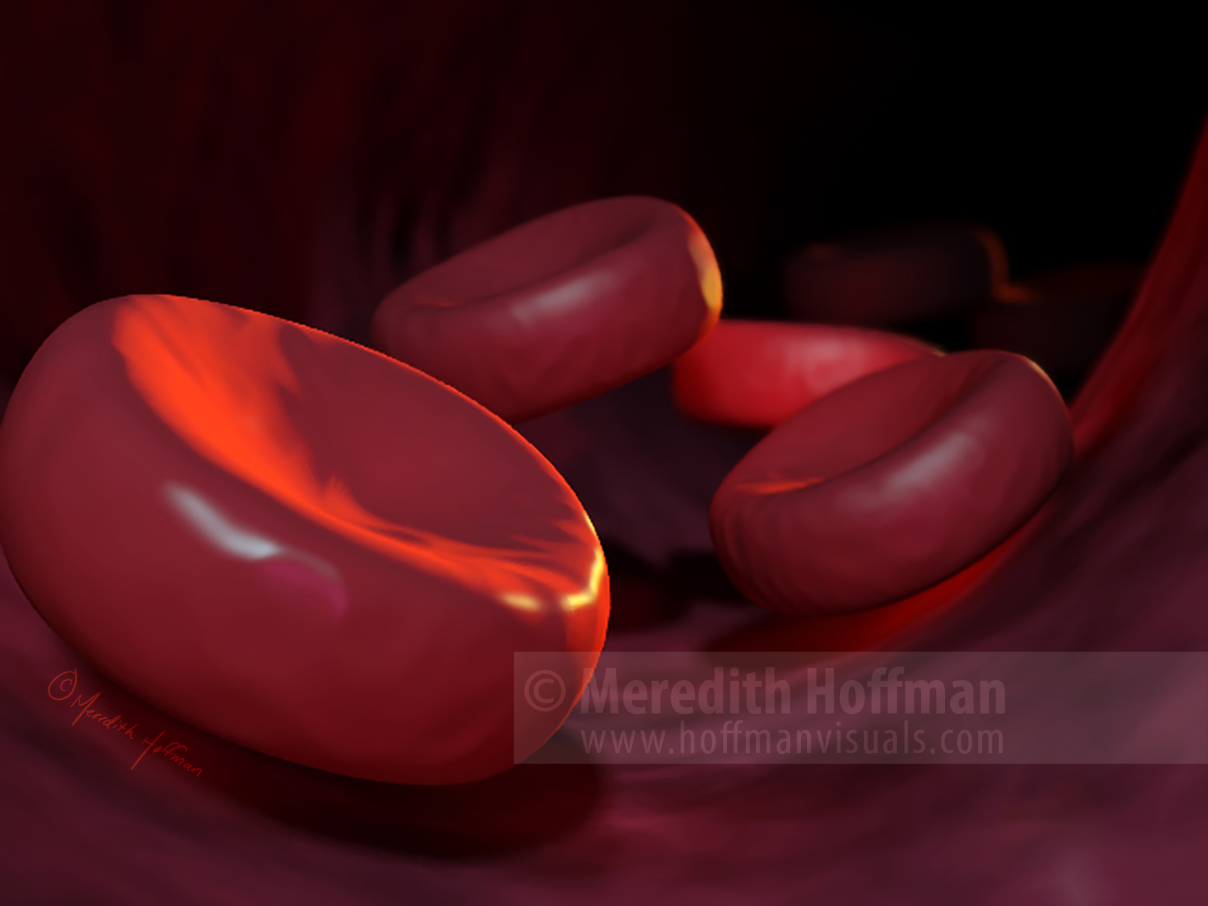 Red blood cells