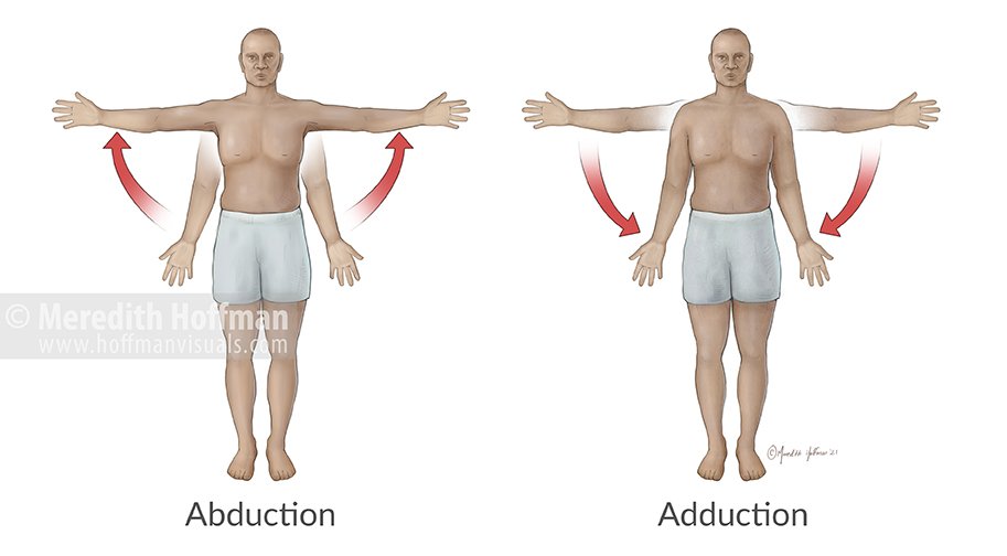 AbductionAdduction_FlatLRWM.jpg