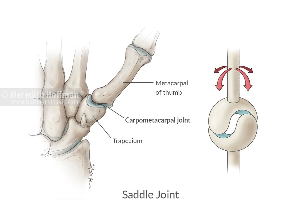SaddleJoint_FlatLRWM.jpg
