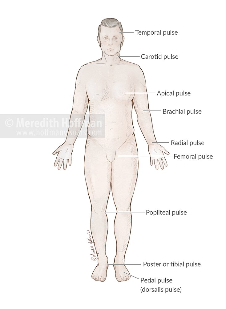 PulseChart_FlatLRWM.jpg