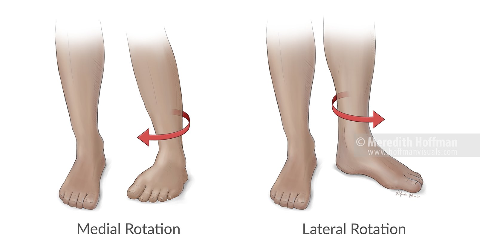MedialLateralRotation_FlatLRWM.jpg