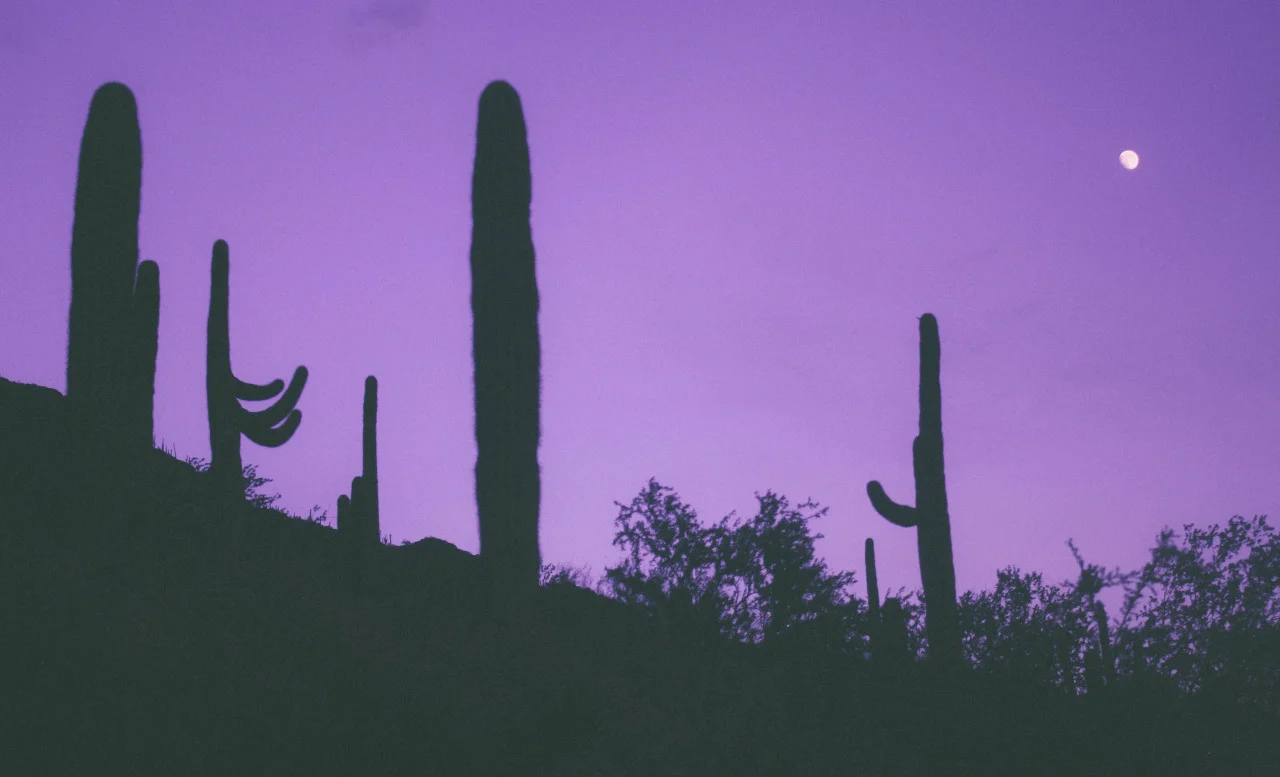 70s-flowerchild:

☮ ☽ ☼☯ ॐ ☁ ❉