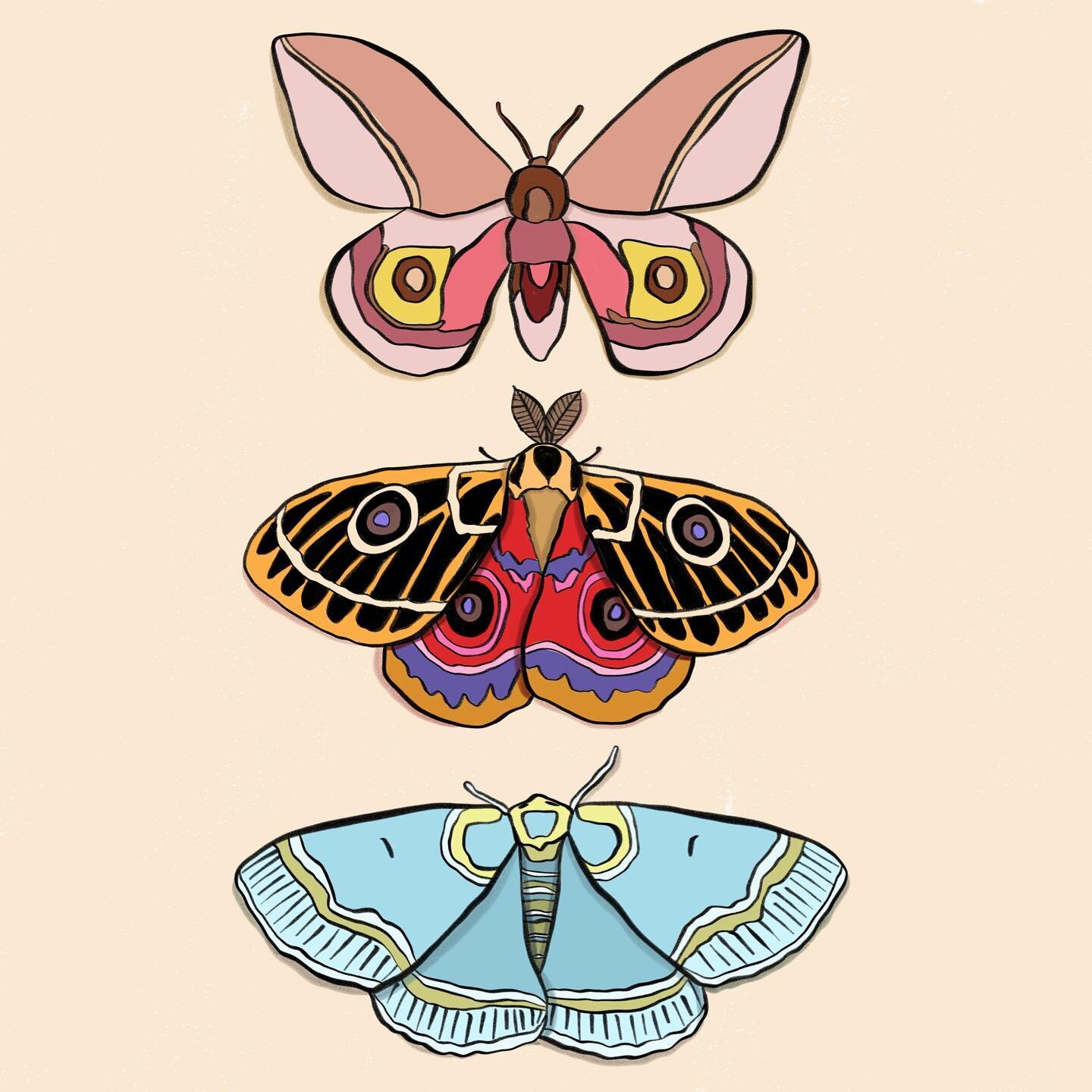 I don&rsquo;t know what to do with these, but here they are. Notecards maybe?

#illustration #butterfly #ipadpro #procreate #ipadprocreate #annaleighdesign