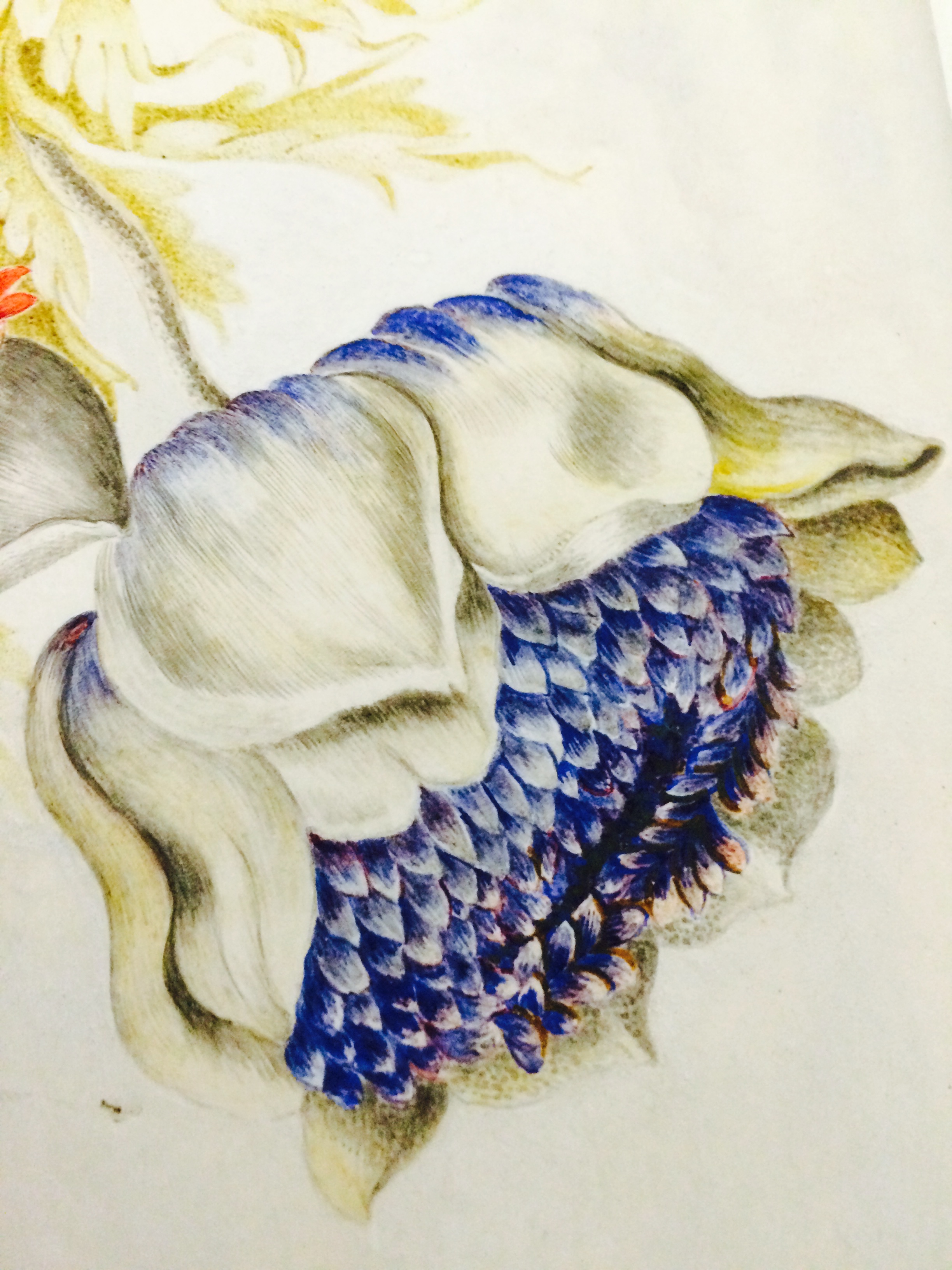 A Paradise on Paper 