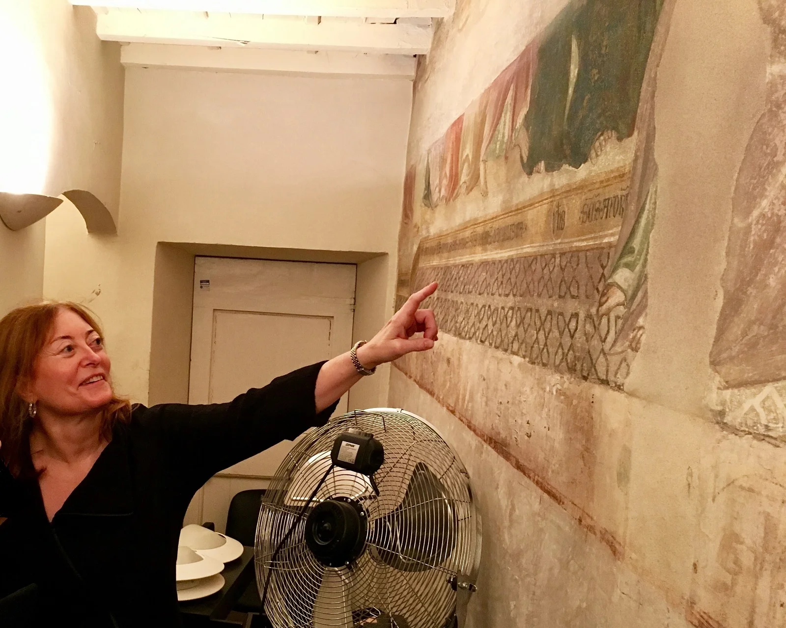 IAC member Donna Malin at the Fuligno complex