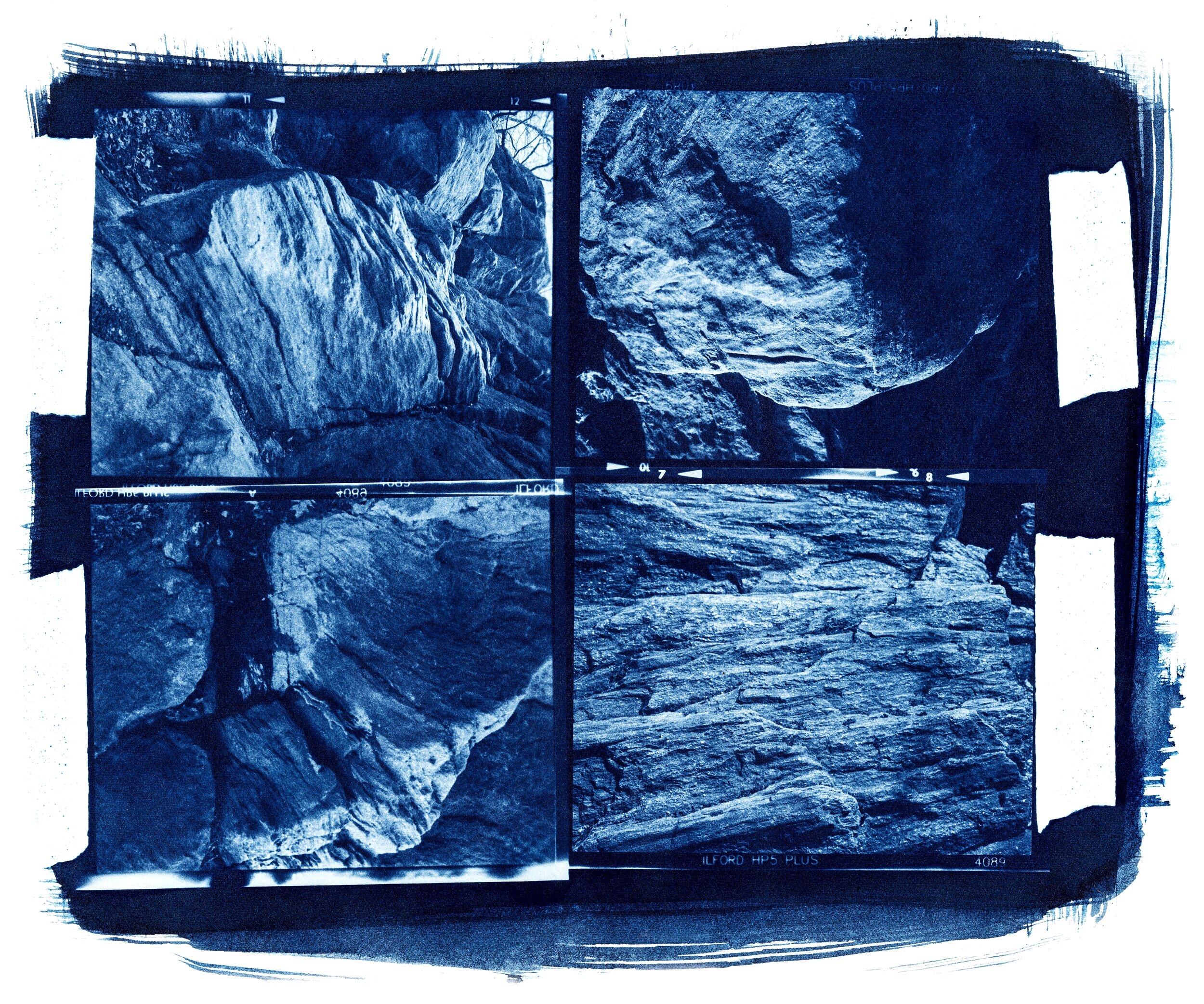 Cyanotype_005.jpg