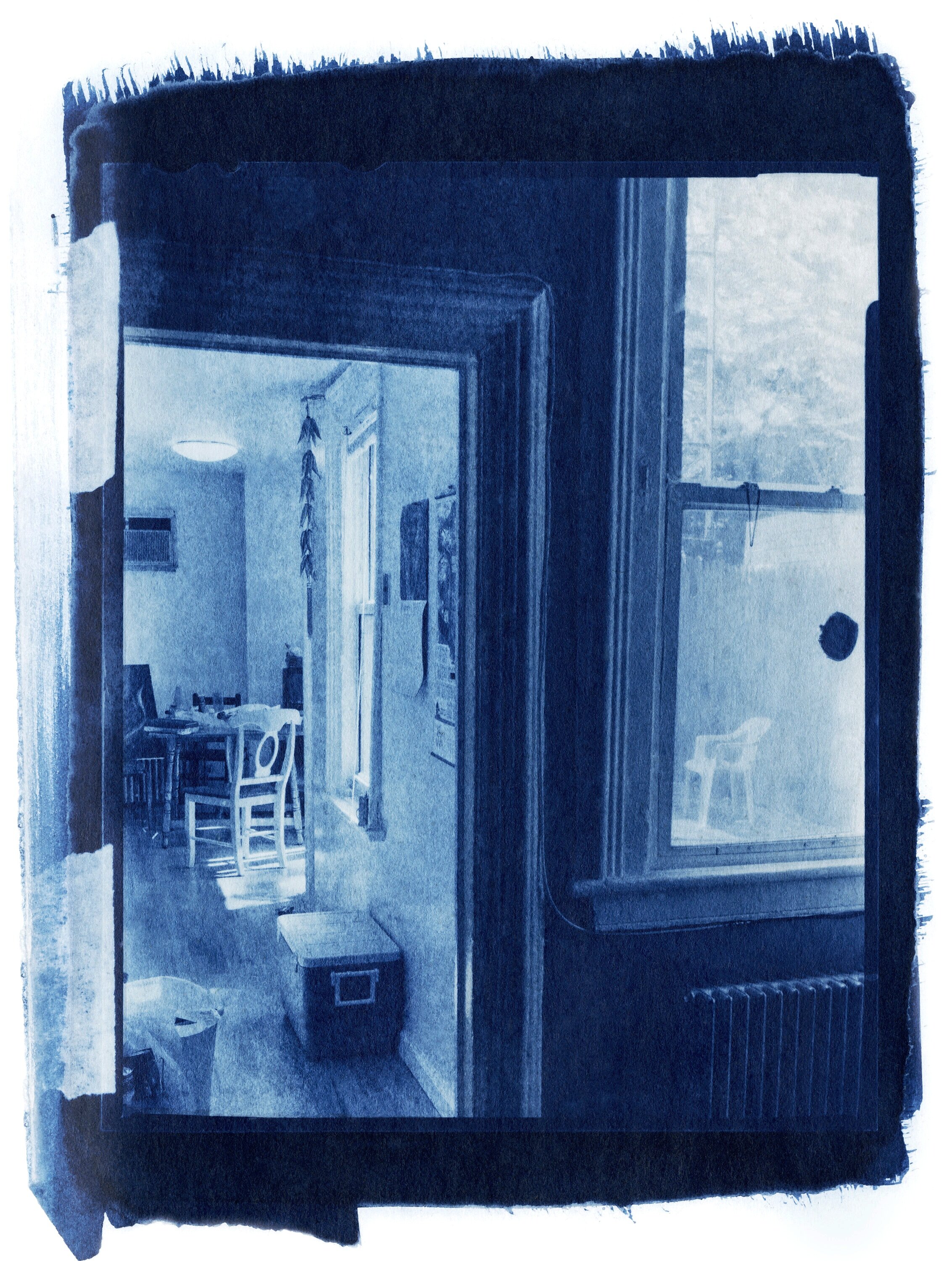 Cyanotype_001.jpg