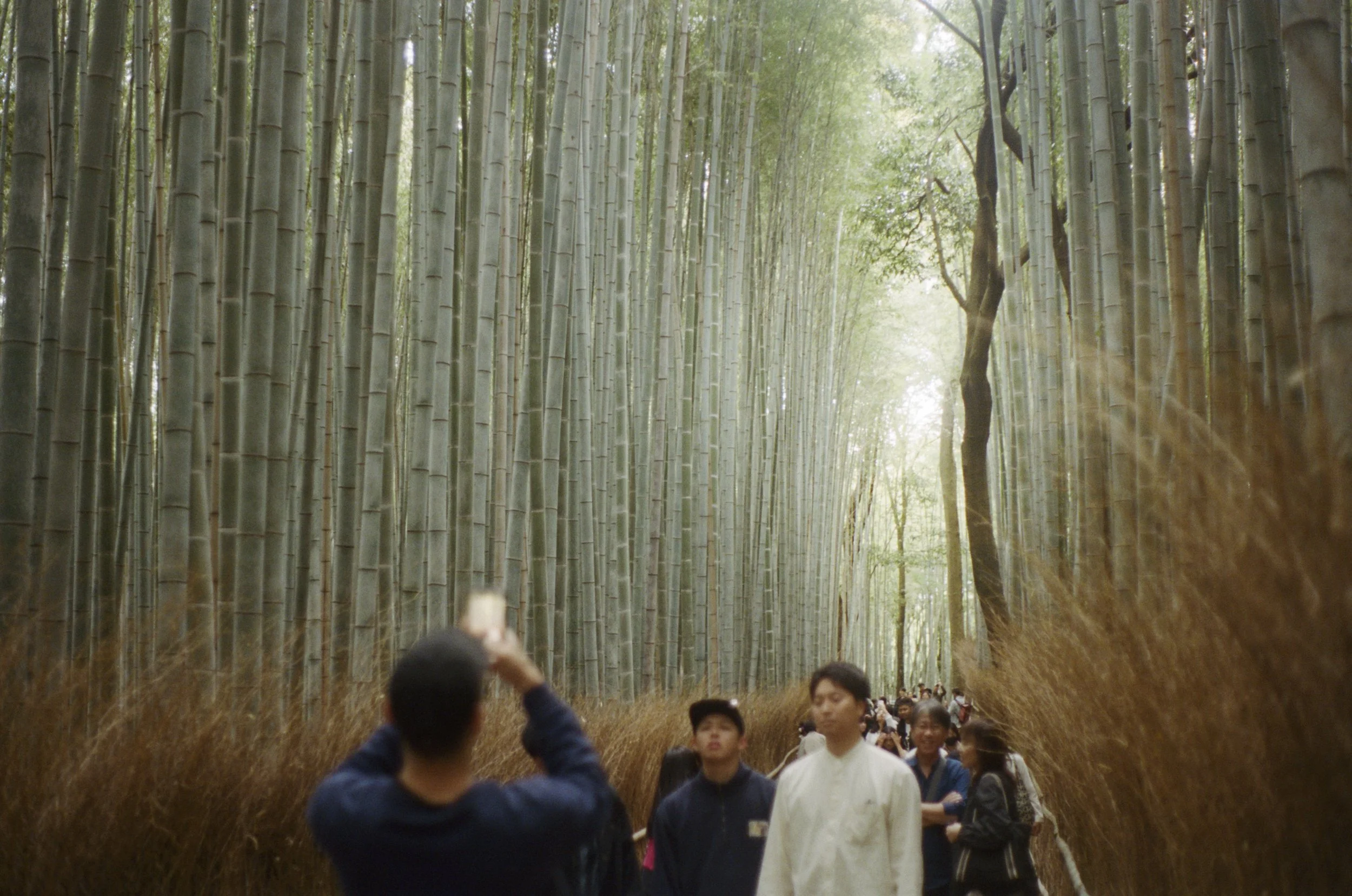 703717090011 copy.jpg