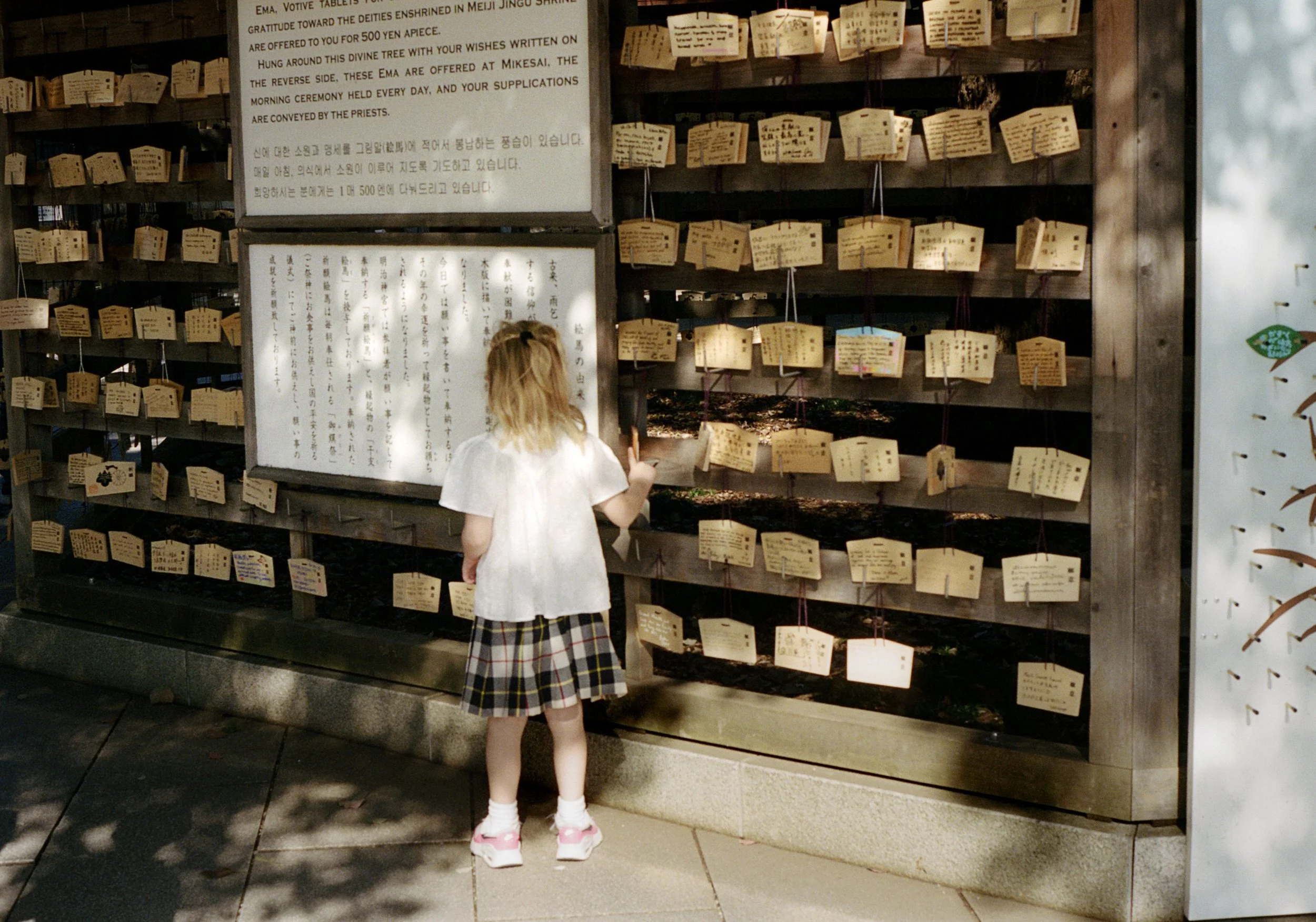 703717120019 copy.jpg