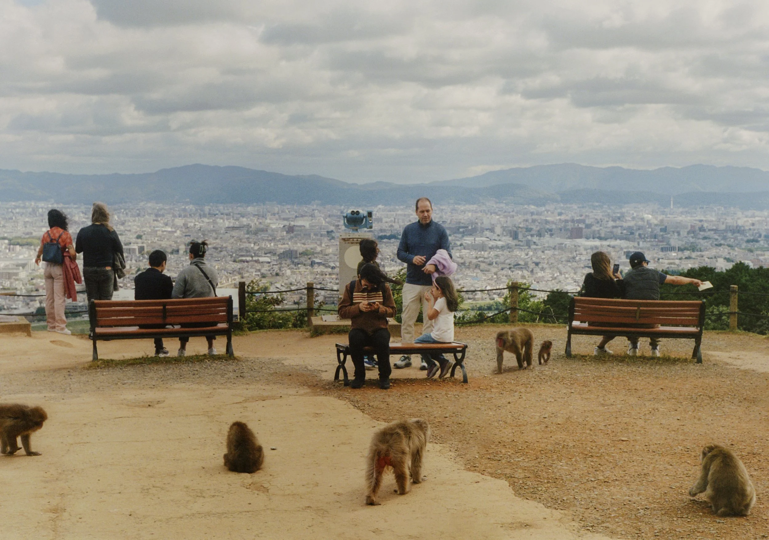 703717050010_v2 copy.jpg