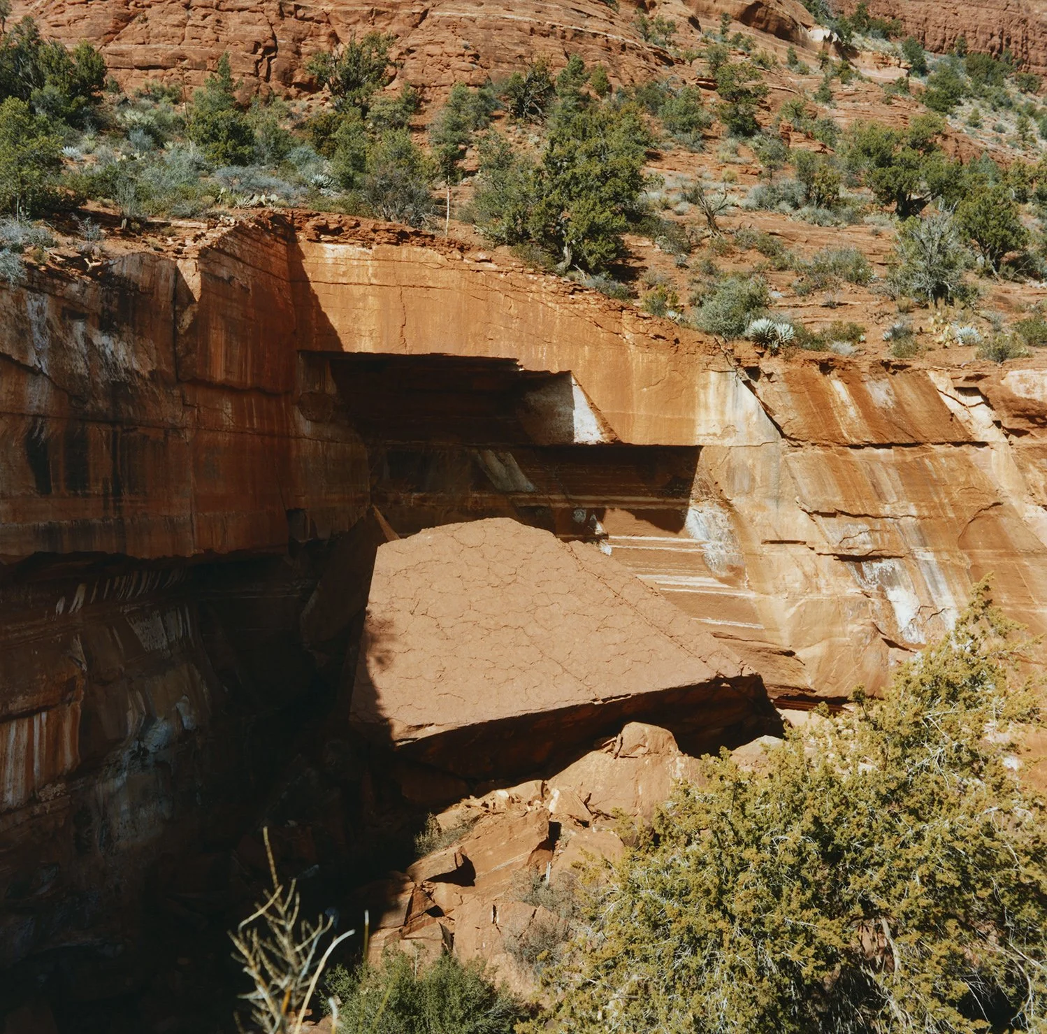 SED_DevilsGulch copy.jpg