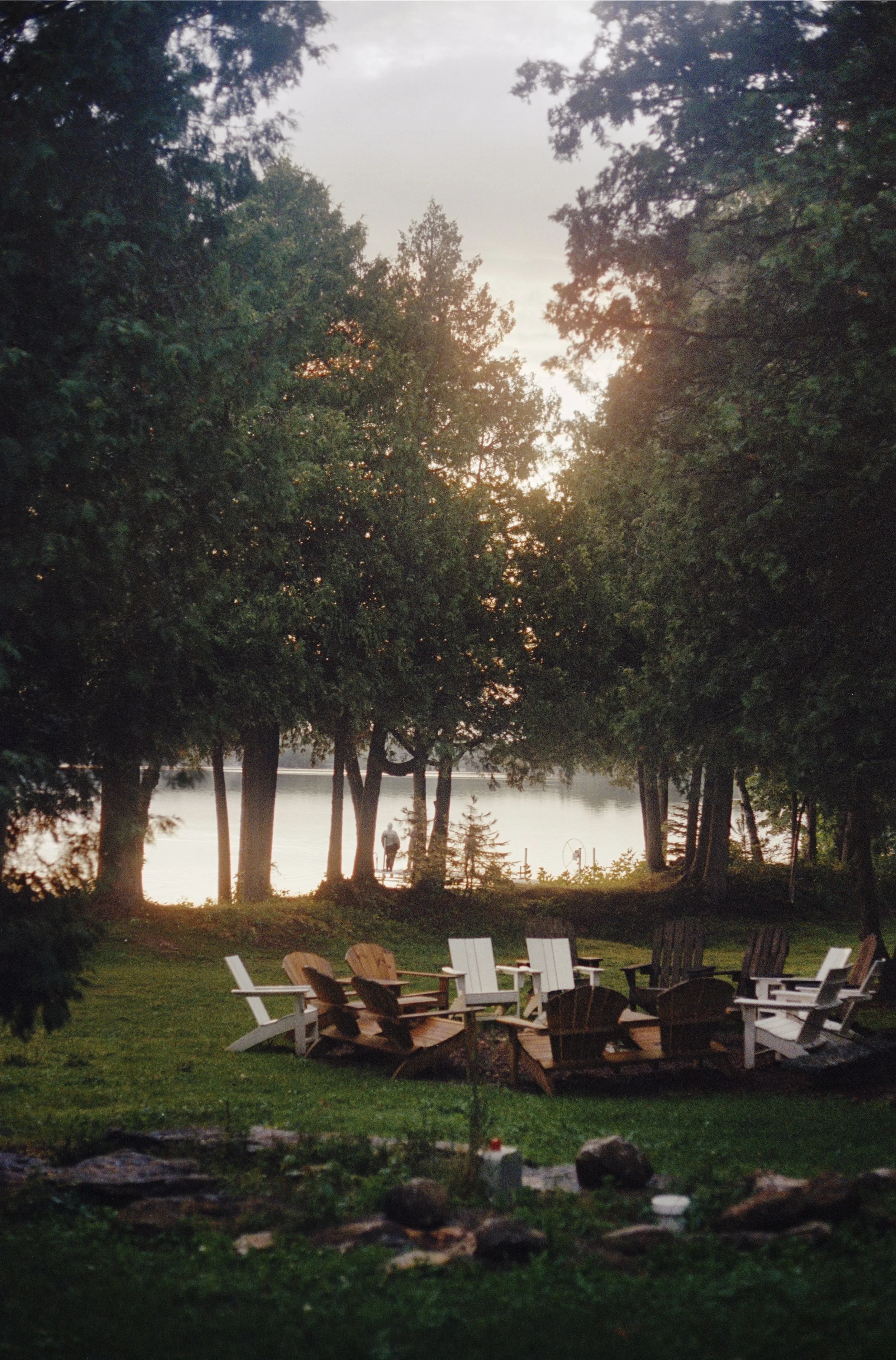 WISC2025_SunthruTrees_08_01_print copy.jpg
