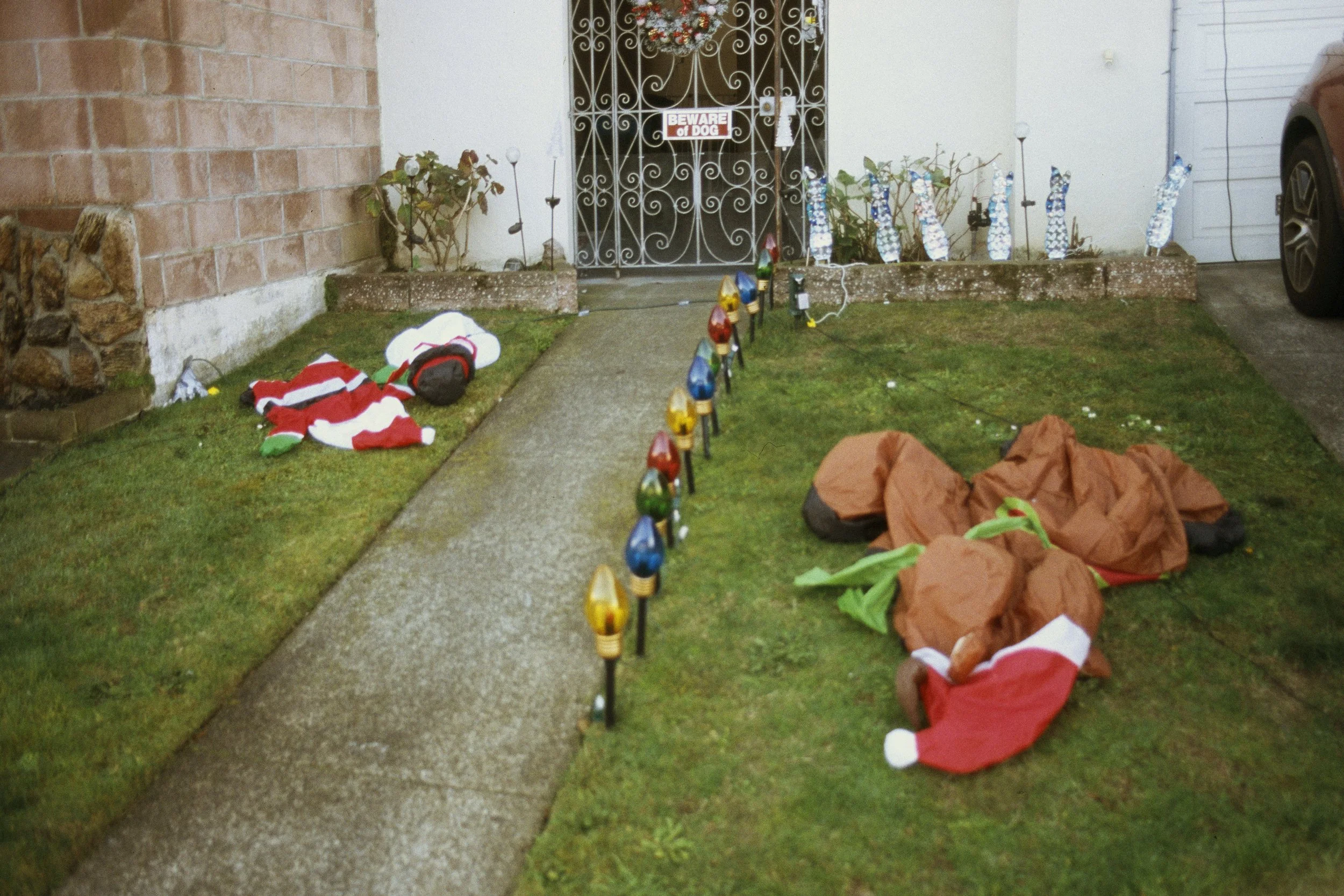 SF-DeadDecorations copy.jpg
