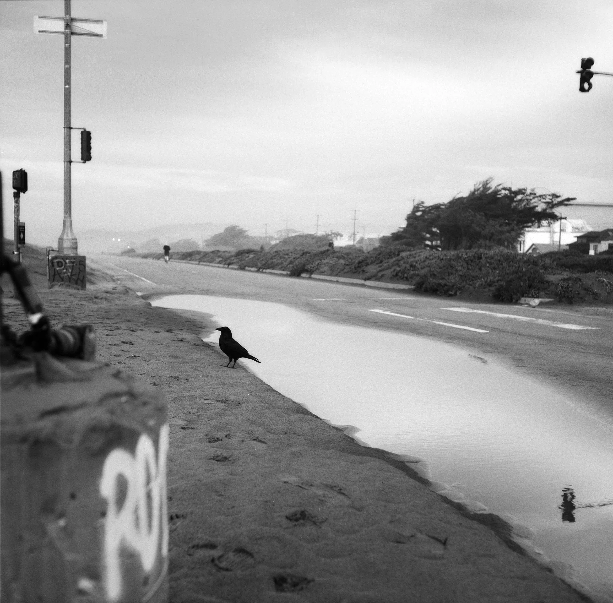 SF_RavenFoggyStreet copy.jpg