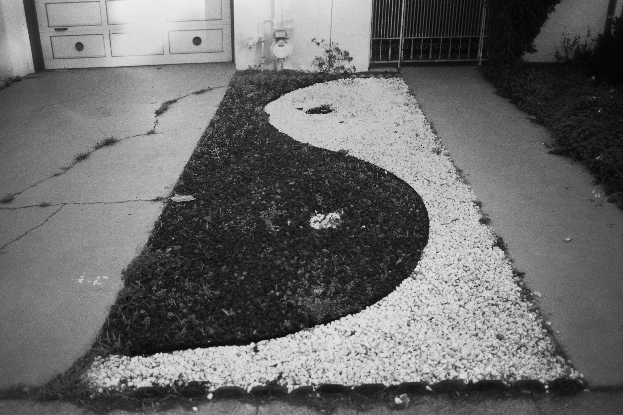 SF_YinYangDriveway copy.jpg