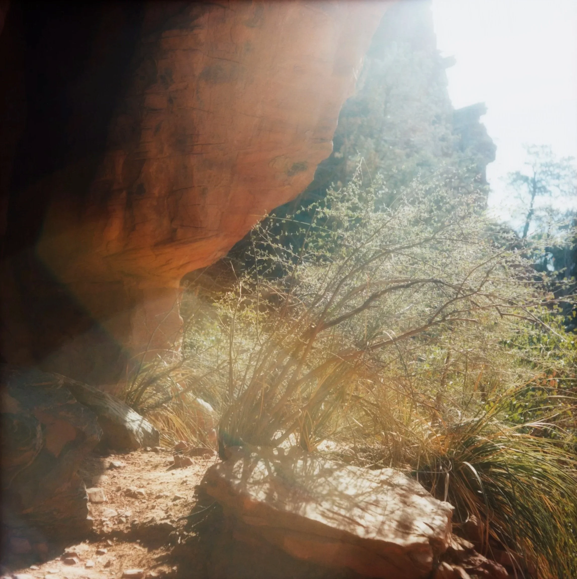 Image8 copy.jpg