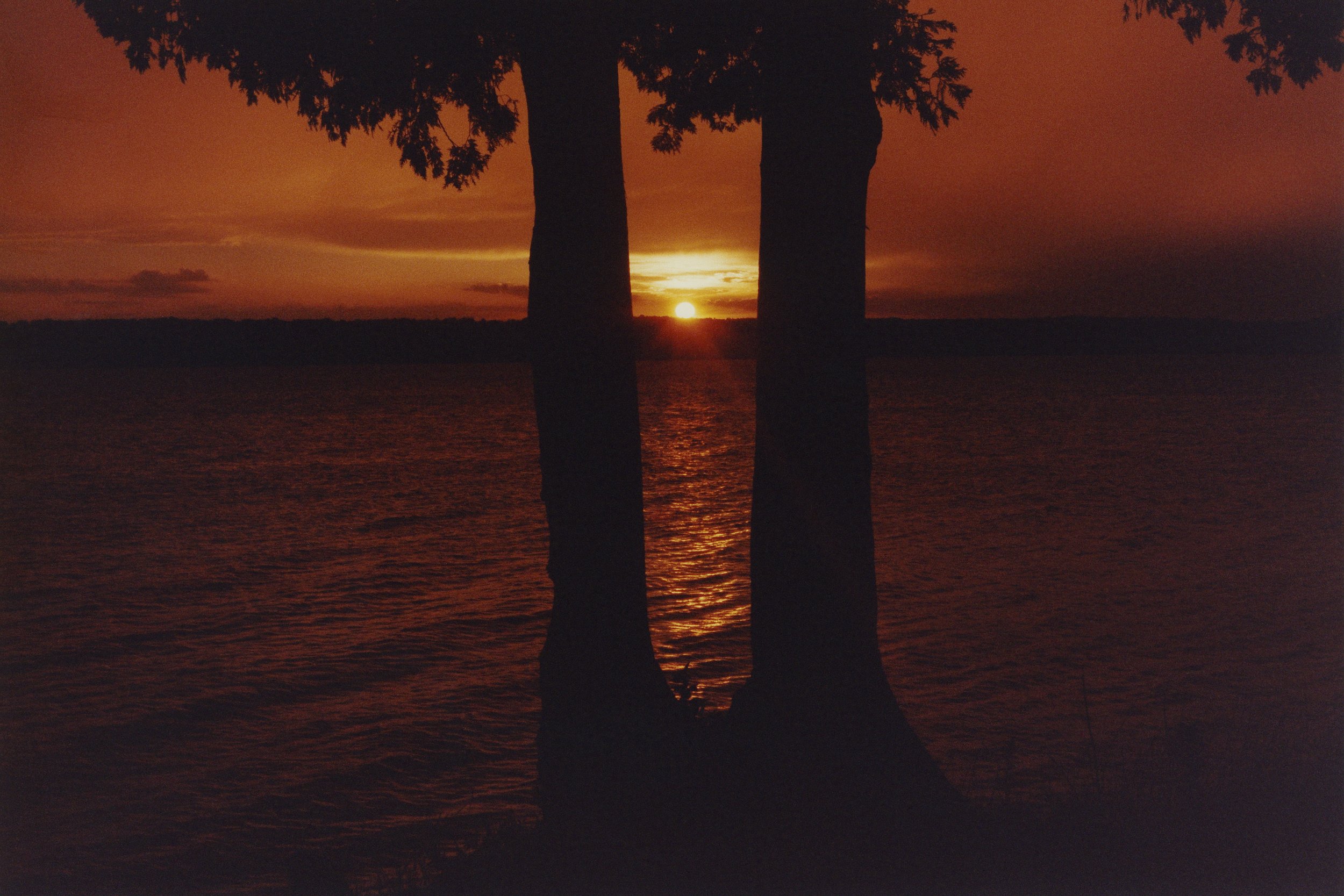 Image 1 copy.jpg