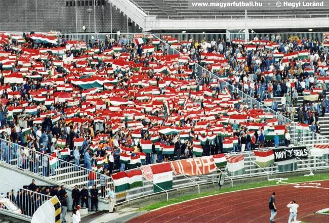 p17.jpg
