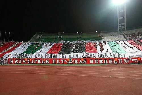 p4.jpg