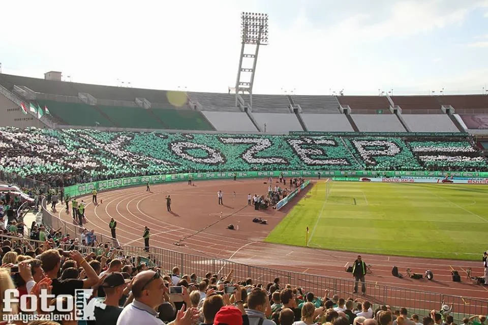 p7.jpg