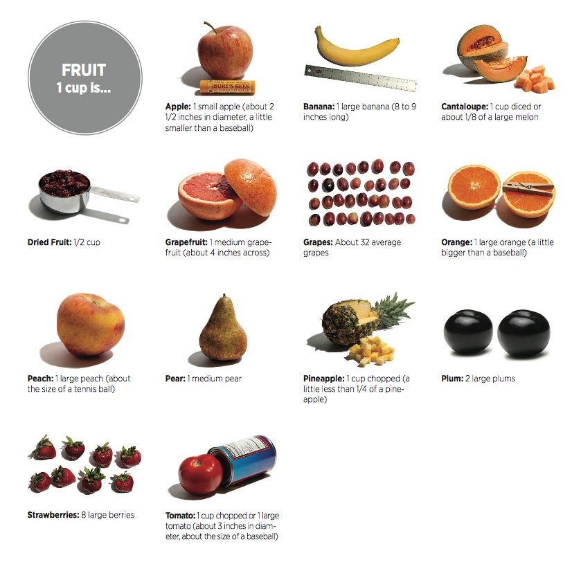 JUST WHAT IS A PORTION SIZE? — Nutrition London Nutritionist in London