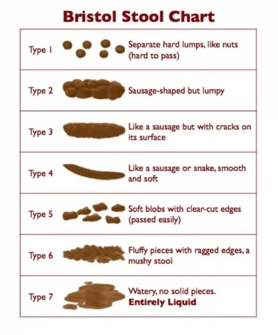 Stool chart.jpg