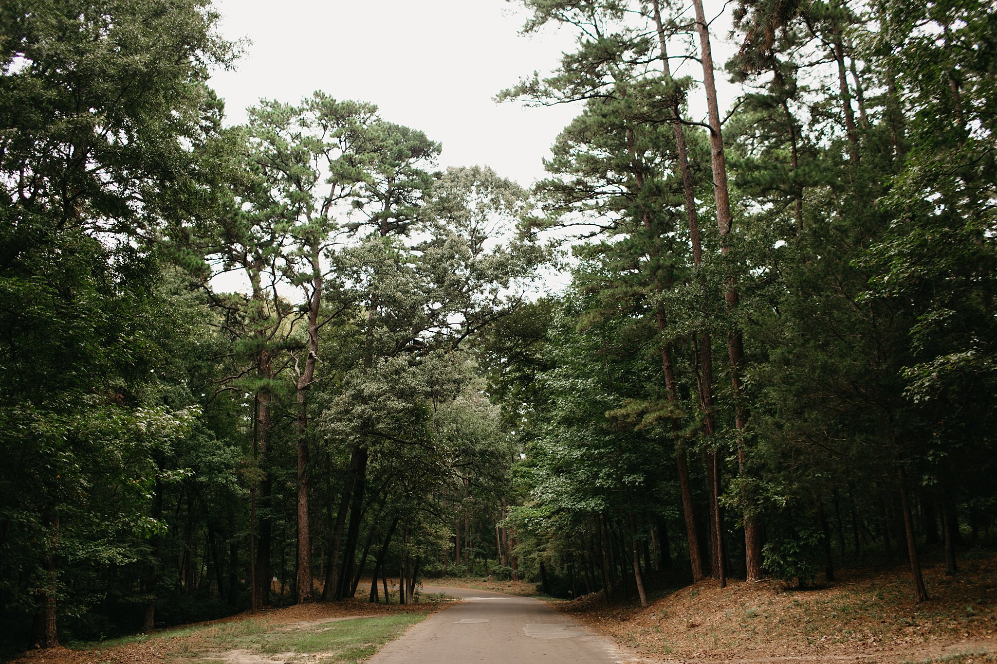 Wilderlove Co_Tyler Texas_Petroleum Club_Wedding Photography_0005.jpg